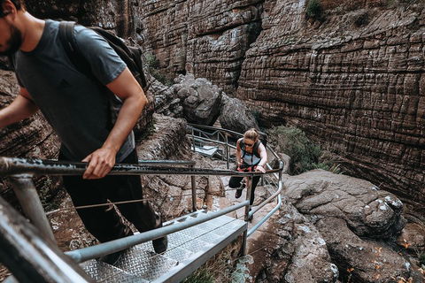 Small Group - Grampians Hiking Day Tour From Melbourne - Accommodation Nelson Bay 1