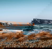 Private Phillip Island  Penguin Parade Hiking Tour from Melbourne - Accommodation Nelson Bay
