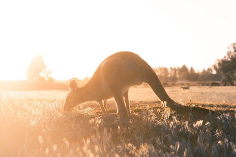 Private Wilsons Promontory Hiking Tour From Melbourne - Accommodation Nelson Bay 4