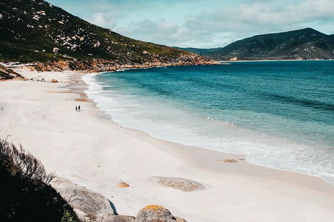 Private Wilsons Promontory Hiking Tour From Melbourne - Accommodation Nelson Bay 5