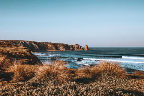Small Group - Phillip Island Hike & Penguin Parade Day Tour From Melbourne - Accommodation Nelson Bay 0