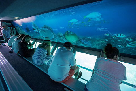Great Barrier Reef Day Cruise To Reefworld - Accommodation Nelson Bay 0