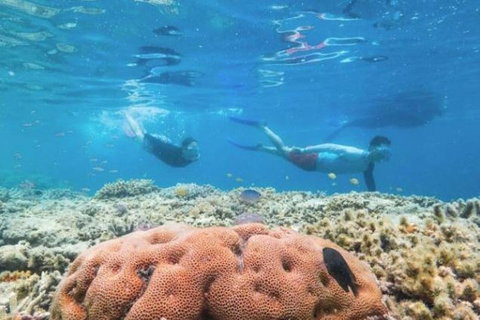 Great Barrier Reef Day Cruise To Reefworld - Accommodation Nelson Bay 1