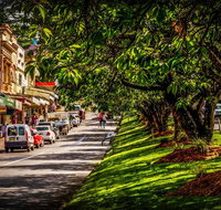 Fully Inclusive Blue Mountains Private Tour inc Scenic World  Featherdale entry - Accommodation Nelson Bay