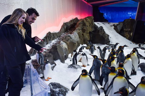 Penguin Passport At SEA LIFE Melbourne Aquarium - Accommodation Nelson Bay 0