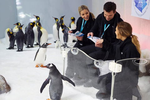 Penguin Passport At SEA LIFE Melbourne Aquarium - Accommodation Nelson Bay 5