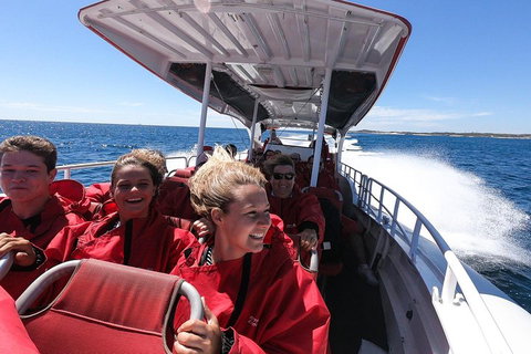 Adventure Rottnest Tour With Ferry & Adventure Cruise From Perth Or Fremantle - Accommodation Nelson Bay 0