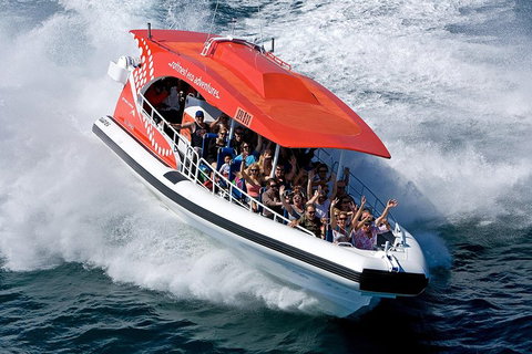 Adventure Rottnest Tour With Ferry & Adventure Cruise From Perth Or Fremantle - Accommodation Nelson Bay 2