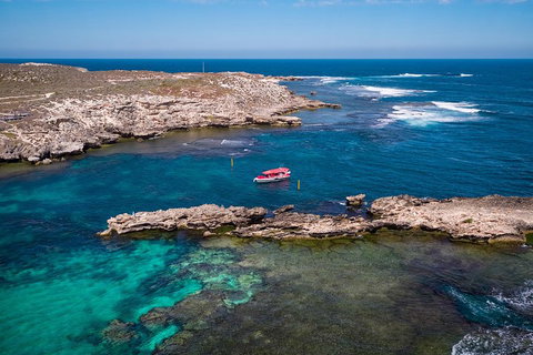 Adventure Rottnest Tour With Ferry & Adventure Cruise From Perth Or Fremantle - Accommodation Nelson Bay 3