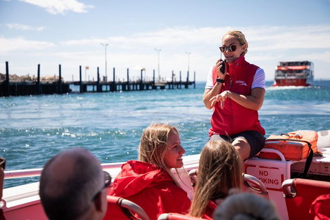 Adventure Rottnest Tour With Ferry & Adventure Cruise From Perth Or Fremantle - Accommodation Nelson Bay 4