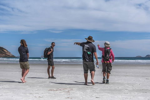 Wilsons Promontory Day Trip From Melbourne - Accommodation Nelson Bay 1