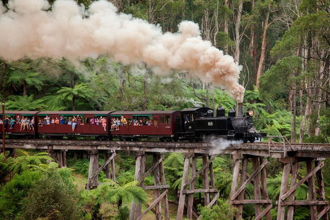 Melbourne Combo: Great Ocean Road, Puffing Billy, Moonlit Sanctuary & Penguins - Accommodation Nelson Bay 1