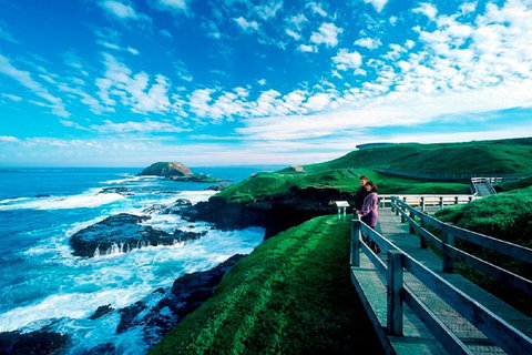 Melbourne Combo: Great Ocean Road + Phillip Island Express + Attraction Pass - Accommodation Nelson Bay 1