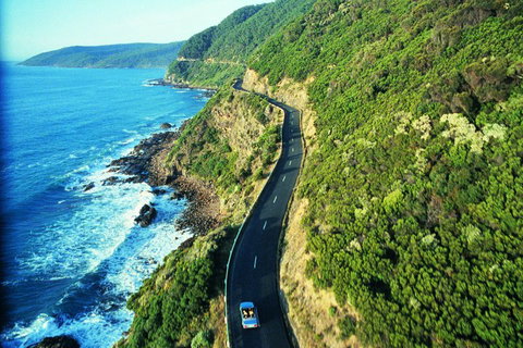 Melbourne Combo: Great Ocean Road + Phillip Island Express + Attraction Pass - Accommodation Nelson Bay 4