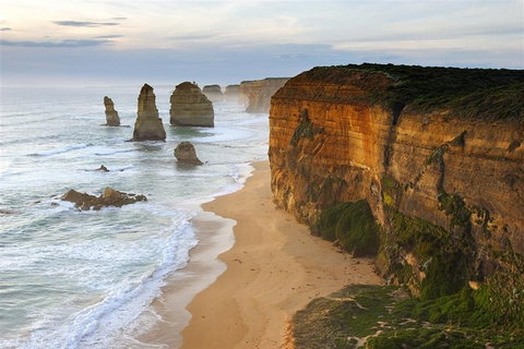 Melbourne Combo: Great Ocean Road + Phillip Island Express + Attraction Pass - Accommodation Nelson Bay 5