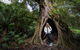 3 Day Great Ocean Road, Phillip Island & Wilsons Promontory Ultimate Tour - thumb 2