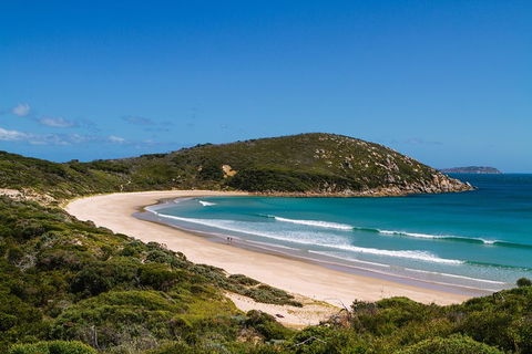 3 Day Great Ocean Road, Phillip Island & Wilsons Promontory Ultimate Tour - Accommodation Nelson Bay 4