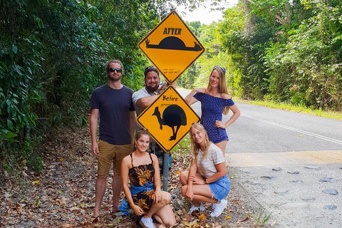Cape Tribulation, Daintree Rainforest And Wildlife Tour - Accommodation Nelson Bay 0