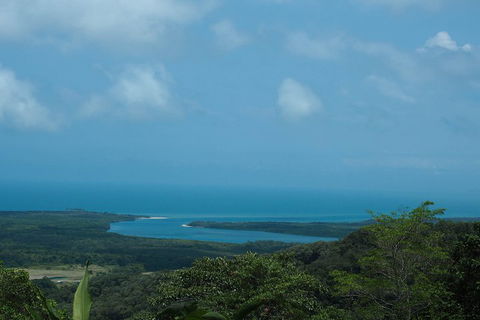 Cape Tribulation, Daintree Rainforest And Wildlife Tour - Accommodation Nelson Bay 1