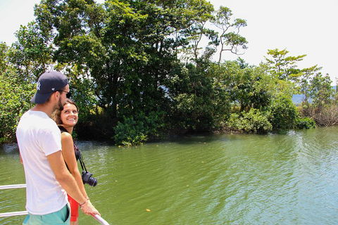 Cape Tribulation, Daintree Rainforest And Wildlife Tour - Accommodation Nelson Bay 2
