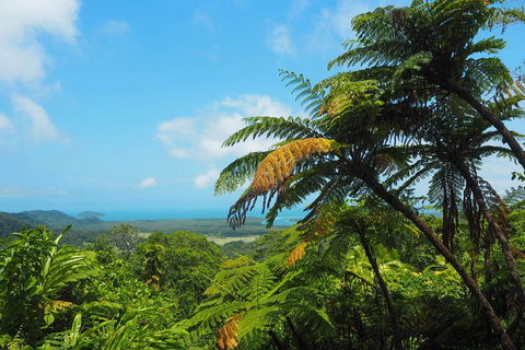 Cape Tribulation, Daintree Rainforest And Wildlife Tour - Accommodation Nelson Bay 3