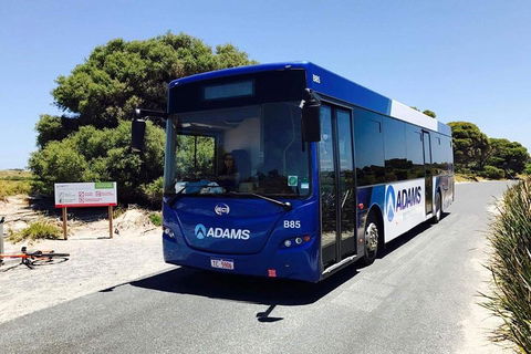 Rottnest Bayseeker Bus Tour From Hillarys Boat Harbour - Accommodation Nelson Bay 0