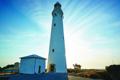 Rottnest Bayseeker Bus Tour From Hillarys Boat Harbour - Accommodation Nelson Bay 2