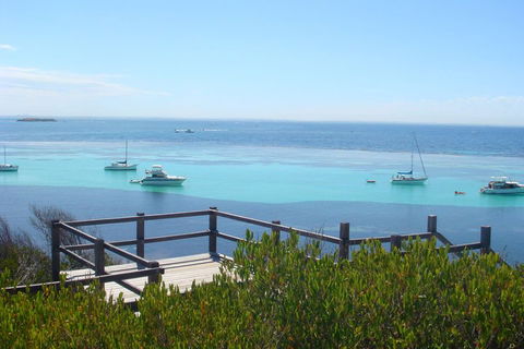 Rottnest Bayseeker Bus Tour From Hillarys Boat Harbour - Accommodation Nelson Bay 3