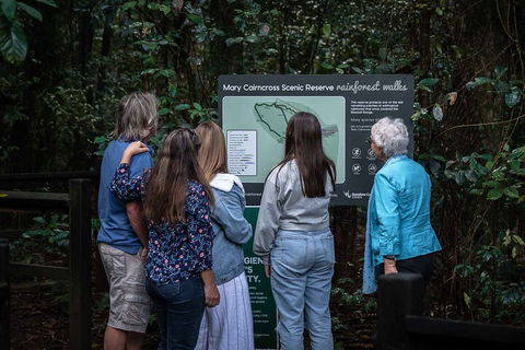Sunshine Coast Hinterland And Noosa Day Trip From Brisbane Including Eumundi Markets And Ginger Factory - Accommodation Nelson Bay 0