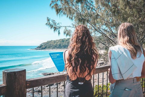 Sunshine Coast Hinterland And Noosa Day Trip From Brisbane Including Eumundi Markets And Ginger Factory - Accommodation Nelson Bay 2