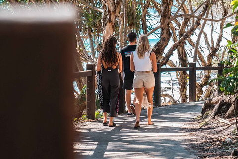 Sunshine Coast Hinterland And Noosa Day Trip From Brisbane Including Eumundi Markets And Ginger Factory - Accommodation Nelson Bay 4