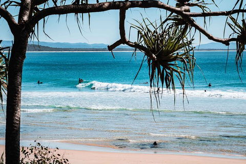 Sunshine Coast Hinterland And Noosa Day Trip From Brisbane Including Eumundi Markets And Ginger Factory - Accommodation Nelson Bay 5