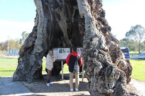 Barossa And Hahndorf Day Trip From Adelaide Including Wine Tasting And Lunch - Accommodation Nelson Bay 1