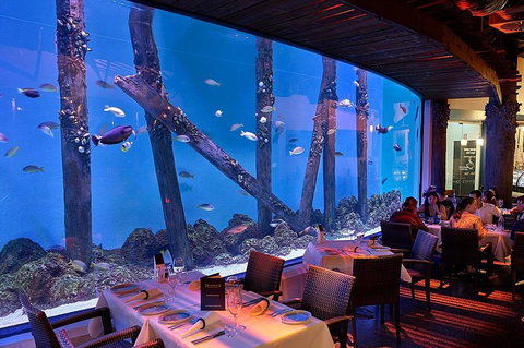 Cairns Aquarium And Small Group City Sightseeing Tour - Nelson Bay Accommodation.com 4
