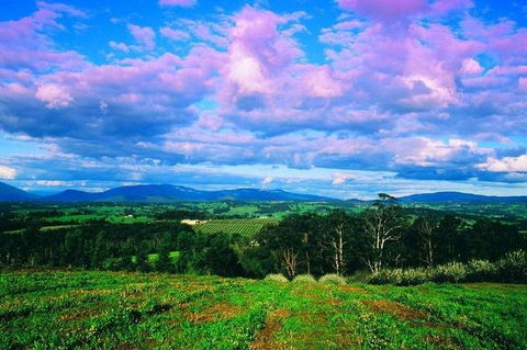 CHEVY CONVERTIBLE Package For 4 -Wine Lunch Cheese & Chocolate From Yarra Valley - Accommodation Nelson Bay 4