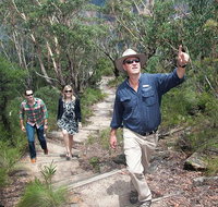 Small-Group Blue Mountains Tour with Bush Walks and Featherdale Wildlife Park - Accommodation Nelson Bay
