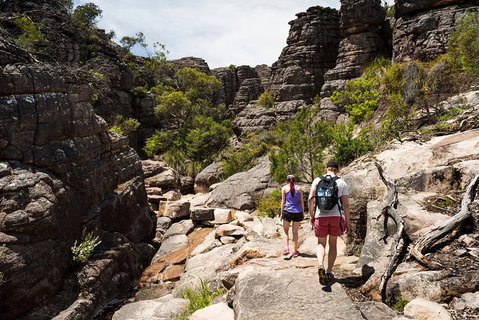 Grampians National Park With Kangaroos And MacKenzie Falls From Melbourne - Nelson Bay Accommodation.com 3