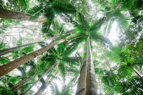 Fraser Explorer K'gari 2-Day Tour - Accommodation Nelson Bay 2