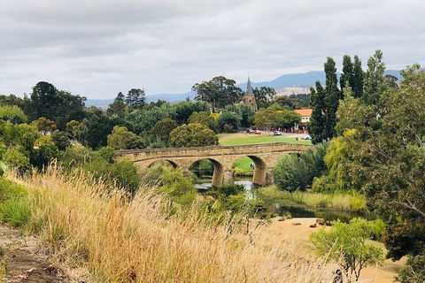 Day Tour In Mt. Field, Mt. Wellington, Bonorong Wildlife Sanctuary And Richmond - Accommodation Nelson Bay 3