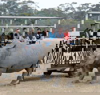 Off-Road Safari at Werribee Open Range Zoo - Accommodation Nelson Bay