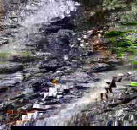 Full-Day Canyoning Experience at Stunning Empress Canyon - Accommodation Nelson Bay