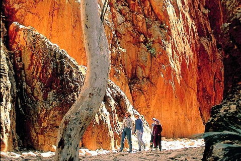 West MacDonnell Ranges Day Trip From Alice Springs - Nelson Bay Accommodation.com 3