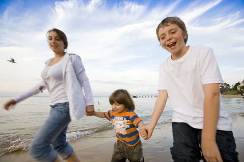 Phillip Island Penguin And Koala Highlights Day-Trip From Melbourne - Accommodation Nelson Bay 0