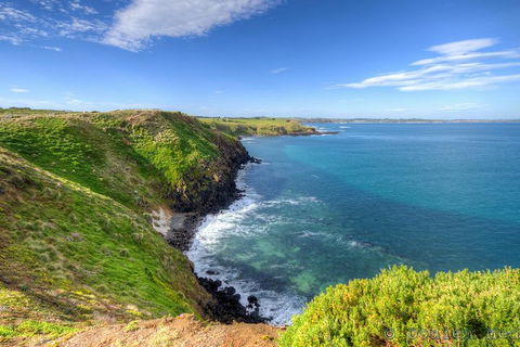 Phillip Island Penguin And Koala Highlights Day-Trip From Melbourne - Accommodation Nelson Bay 5