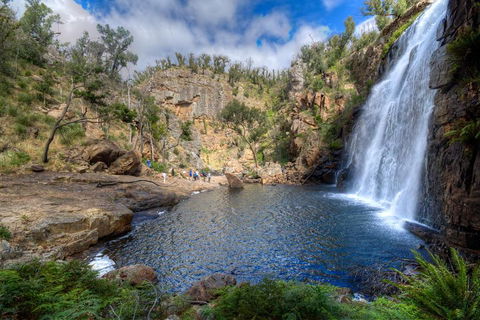 Melbourne To Adelaide South East Coast 3 Day Overland Tour - Accommodation Nelson Bay 4