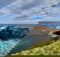 Small-Group Phillip Island Day Trip from Melbourne with Penguin Plus Viewing - Accommodation Nelson Bay