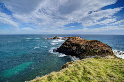 Small-Group Phillip Island Day Trip From Melbourne With Penguin Plus Viewing - Accommodation Nelson Bay 0