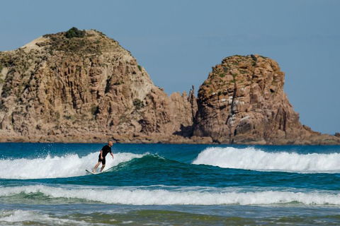 Small-Group Phillip Island Day Trip From Melbourne With Penguin Plus Viewing - Accommodation Nelson Bay 3