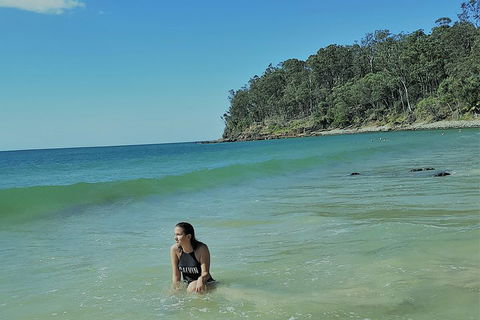 Noosa And Sunshine Coast Hinterland Day Trip From Brisbane - Accommodation Nelson Bay 4