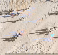 Unlimited Sandboarding - Accommodation Nelson Bay